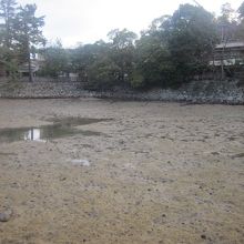 潮が満ちてくるとまた違った風情なのかな、なんて想像しつつ…。