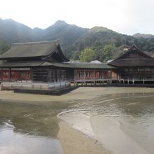 左手が能舞台、右手が能楽屋となります