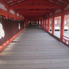 やっぱりハイライトはこの廻廊歩きでしょうね！