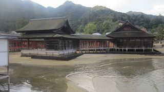 他とは違ったシックな風情が印象に残りました