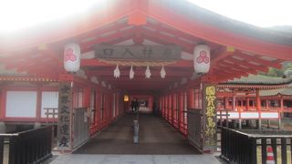 早朝の訪問が絶対にお勧めです！