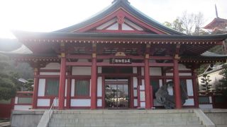 入口にある大鳥居の旧根元材は必見です！