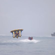 一見地味かと思いきやこれが一番面白かった！