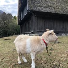 山荘　四季庵