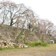 紅葉の時期はこの石垣の裏側がオススメ