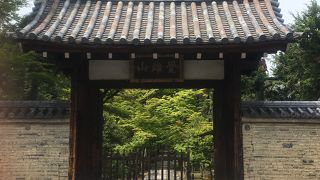 青もみじの参道が素敵！