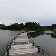 羽生水郷公園de水上ウォーキング