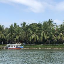 ヤシの木が並ぶ川岸