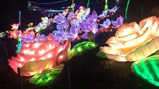 夏限定イルミネーション