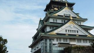 朝のお散歩に最適