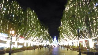 小さい子供連れ家族でも安心してゆっくりと楽しむことができるお薦めのイルミネーション・スポットです！