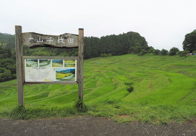 大山千枚田