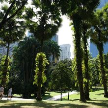 クアラルンプール中心部にあるとは思えないほど緑濃い公園で…、