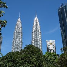 …木立の合間から見える高層ビル群がシュール。