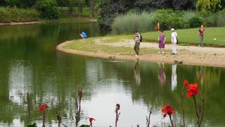 かなり広いシンガポール初の世界遺産