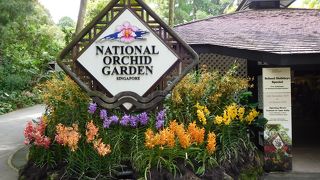 ランが好きな方はぜひ！