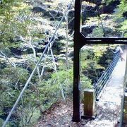 奥多摩駅近く、揺れと高さが怖い吊り橋です