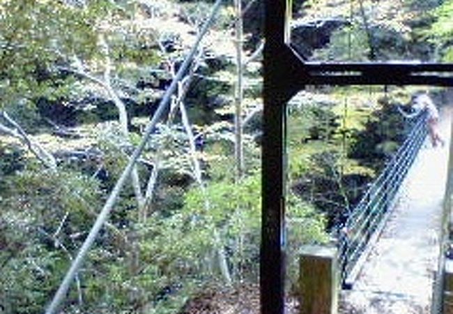 奥多摩駅近く、揺れと高さが怖い吊り橋です