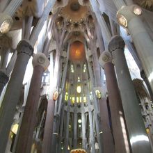 確かに森のよう