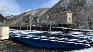 SLがあればカッコイイでしょう