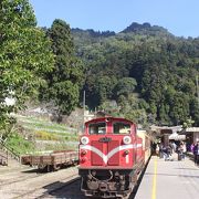 阿里山森林鉄道で行けます