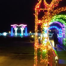 イルミネーション