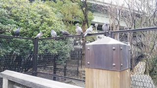 高速が入り乱れるエリア