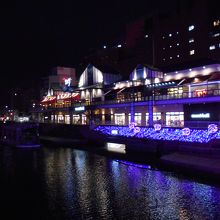 イルミネーションに輝く紫江’ｓ