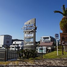 国道135号線沿いにあります