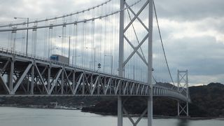 自転車で向島から