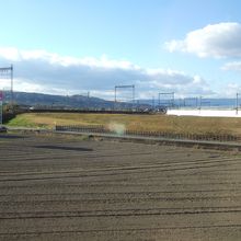 伊勢中川で大阪方面へ分岐しています