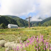 天気がガスって残念でした