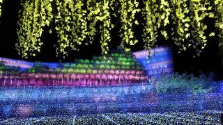 桜イルミネーション以外は他と同じ