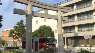 海岸へと続く道