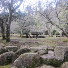 緑に包まれた静かな風情の公園です