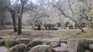 鹿好きの方には特におすすめの公園です