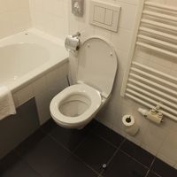 早く海外にもシャワートイレが普及してほしいです