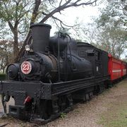 昔の阿里山森林鉄道の機関車や客車が展示されています