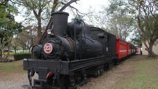 昔の阿里山森林鉄道の機関車や客車が展示されています