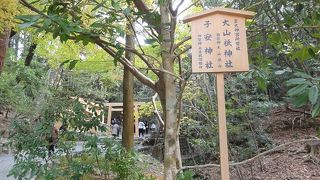 式年遷宮がまじかに見られます