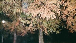 天気予報の確認は不可欠です！