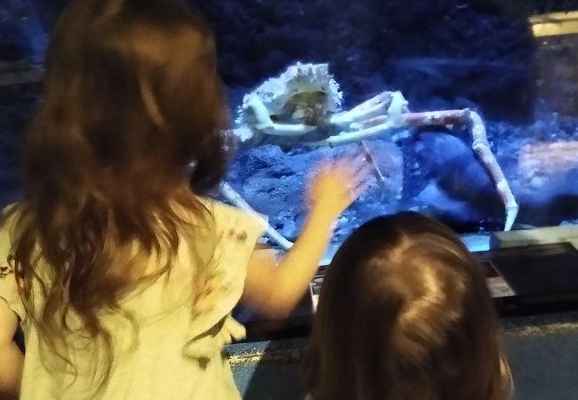 子連れでおすすめ