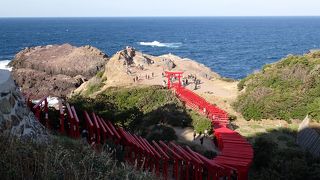 鳥居の数に圧巻