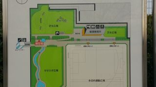 空港そばの芝生の公園