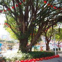 府中駅から大きな木の方向に建物があります。