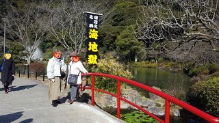 ほんとにこの色なんだな、と感激