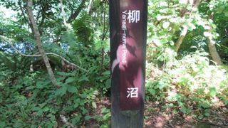 裏磐梯物産館から一番近い沼