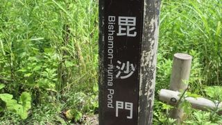 五色沼湖沼群で一番大きな沼