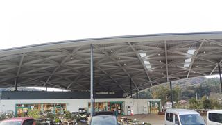 山口帰省のお土産を購入