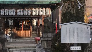 クロガネモチの御神木